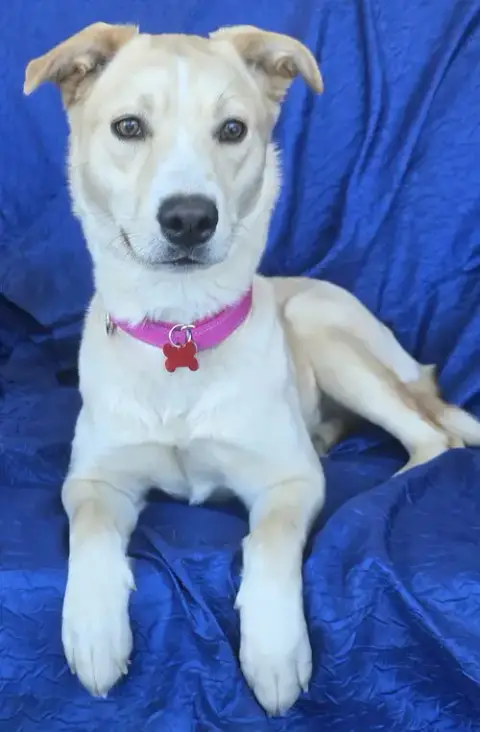 Luna photo 3