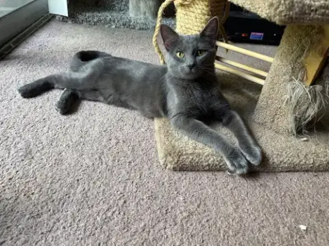 Ripley photo 3