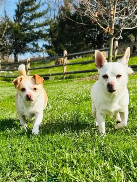 Casper And Tubbz photo 4