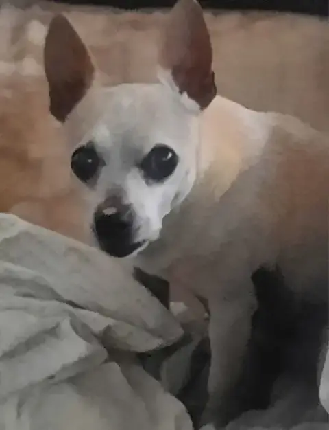 Walter photo 2