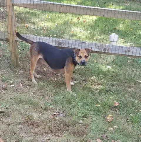 Allie photo 3