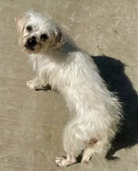 Baylee photo 2
