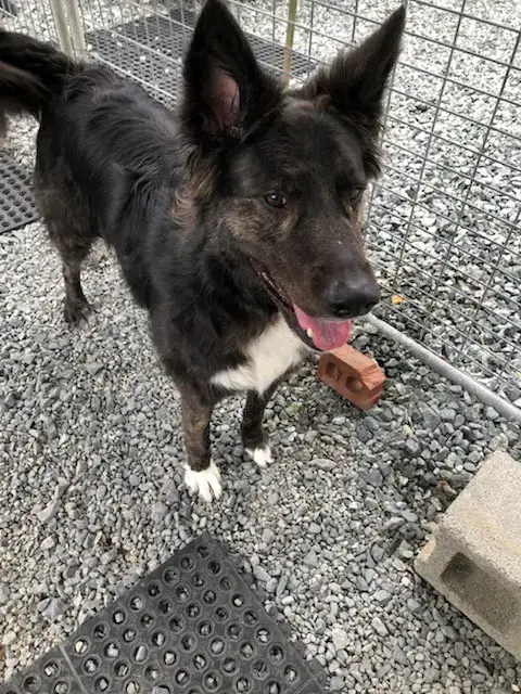 Walter photo 2