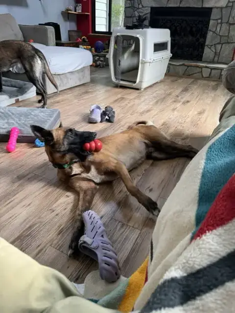 Shiloh Located In Nc photo 4