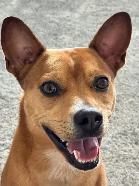 Lucy