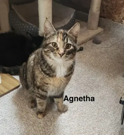 Agnetha