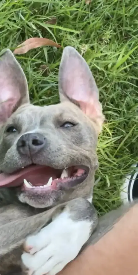 Mia