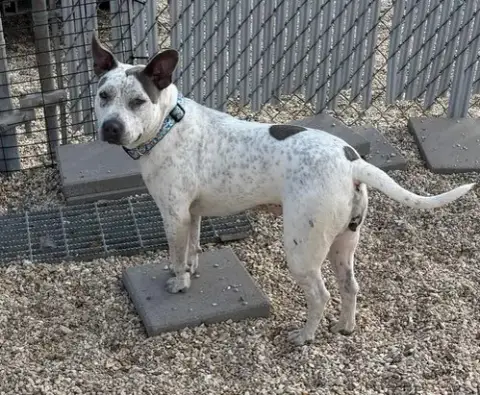 Trinity- Certified Good Girl photo 4