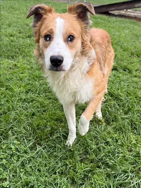 Jax