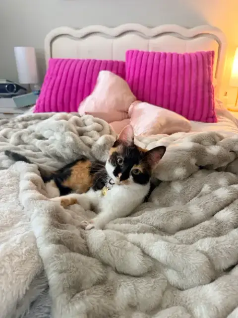 Ember