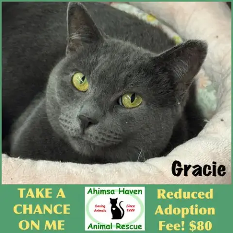 Gracie