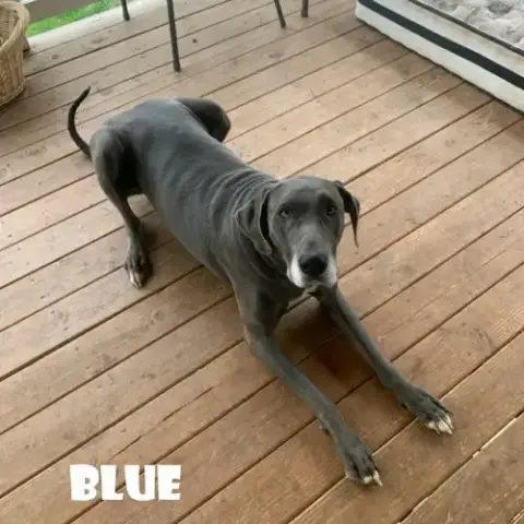 Blue photo 2
