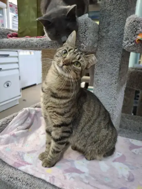 Allie And Prince