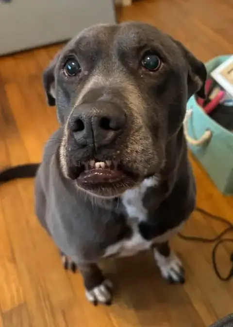 Cooper photo 2