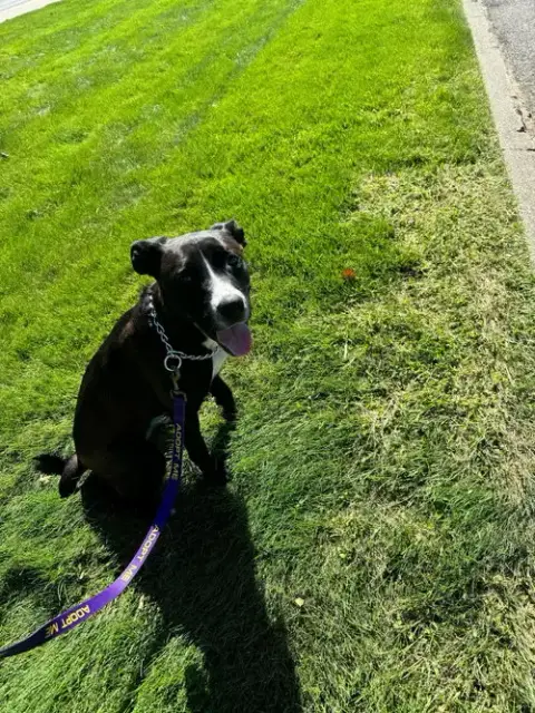 Finley photo 2