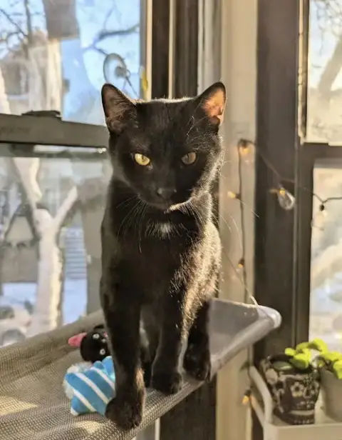 Max