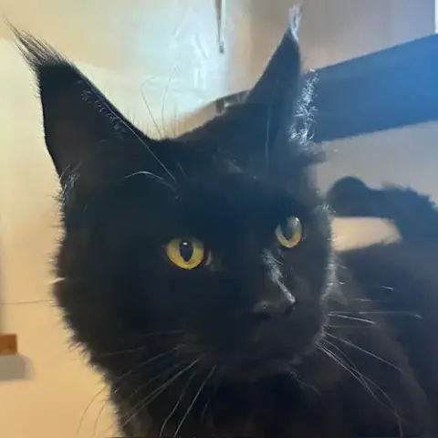 Loki photo 2