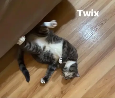 Twix photo 3