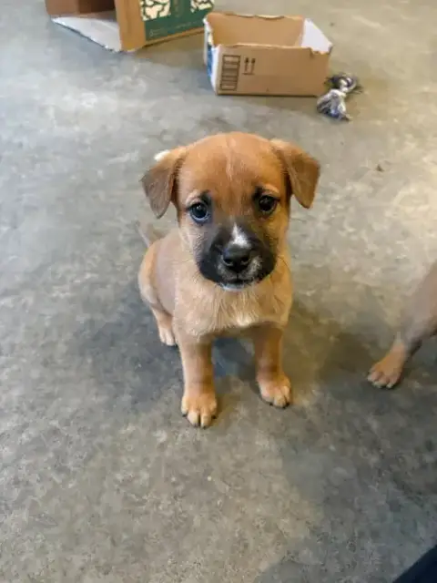 Sheldon photo 5