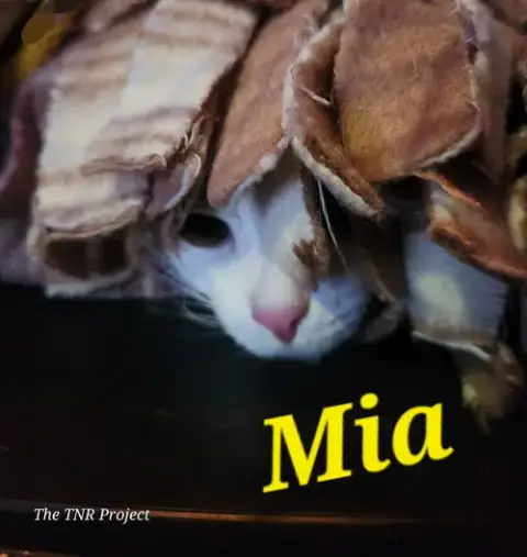 Mia photo 4