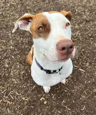 *Ella