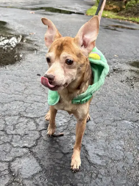 Frankie photo 4