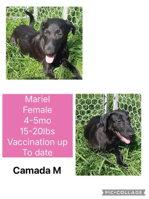 Mariel photo 2