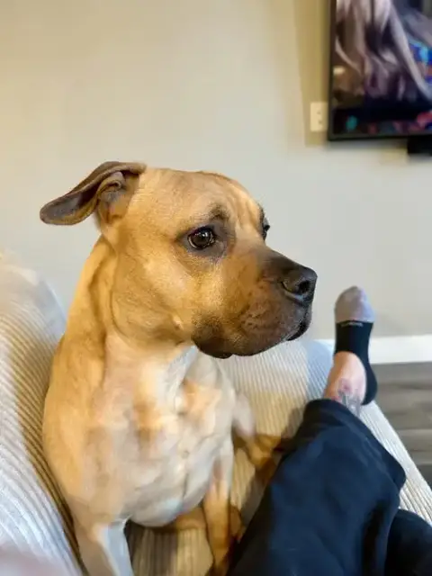Kona photo 4