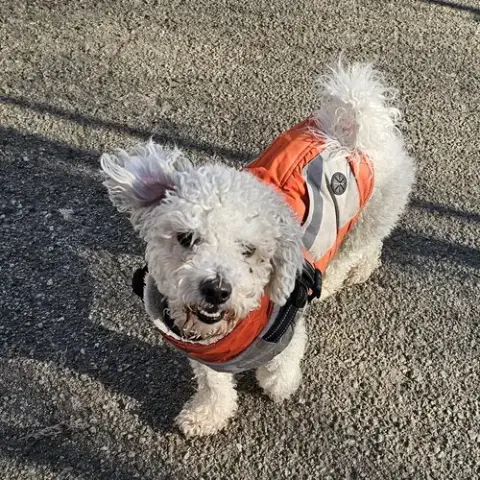 Max photo 4