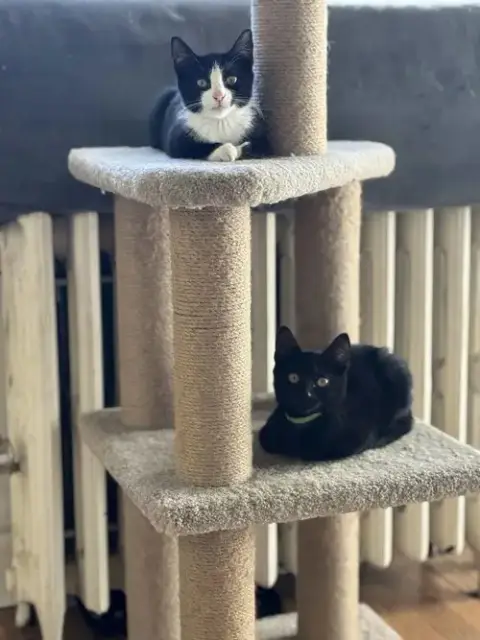 Mocha And Latte photo 3