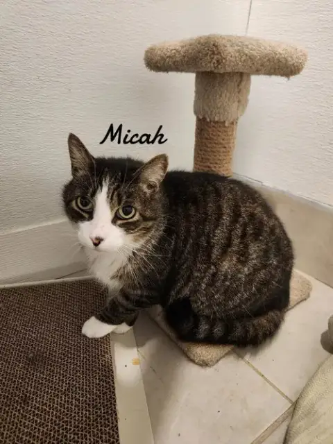 Micah photo 3