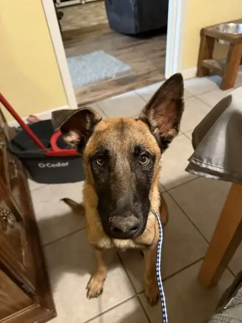 Jaxson