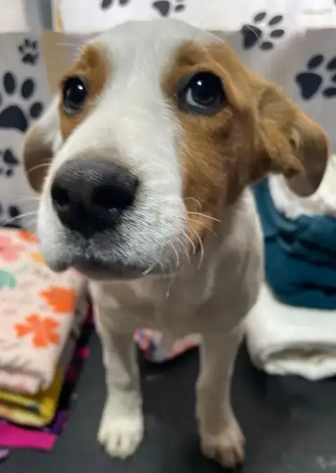 Fred photo 2
