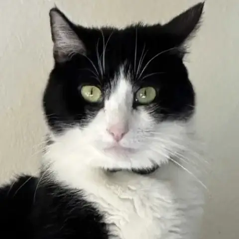 Mariah Purry