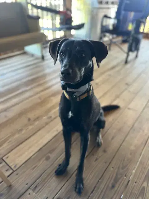 Riley photo 5
