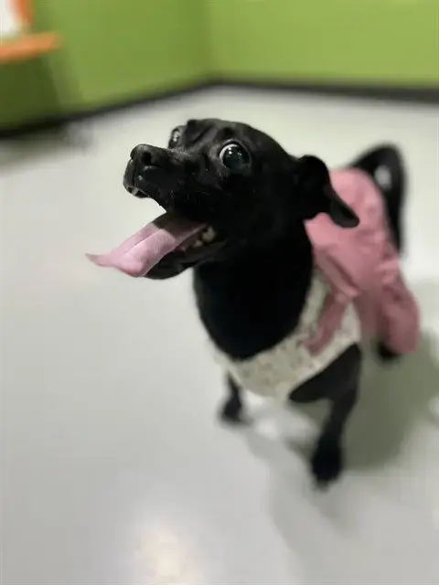 Betty