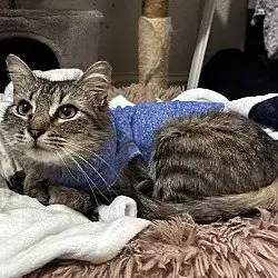Matilda