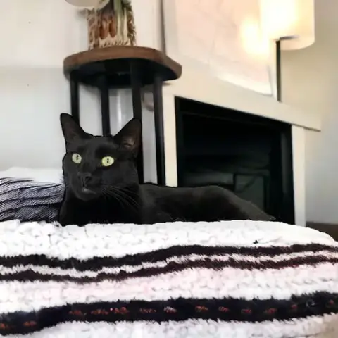 Duke Country Club Fiv+