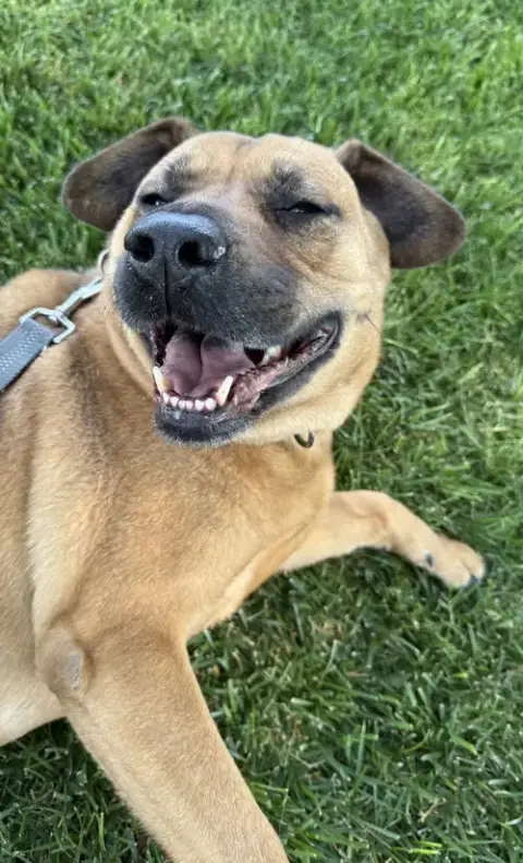 Bella