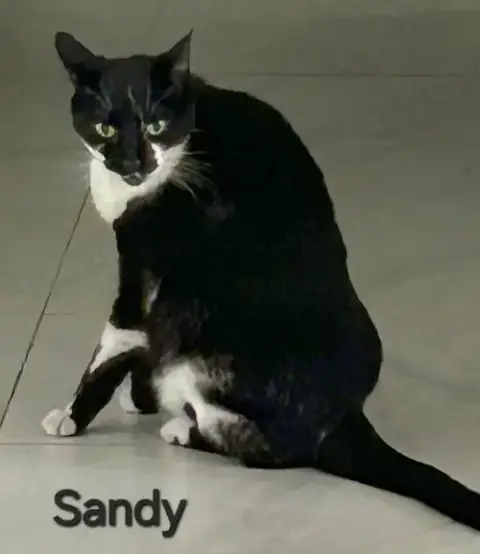 Sandy