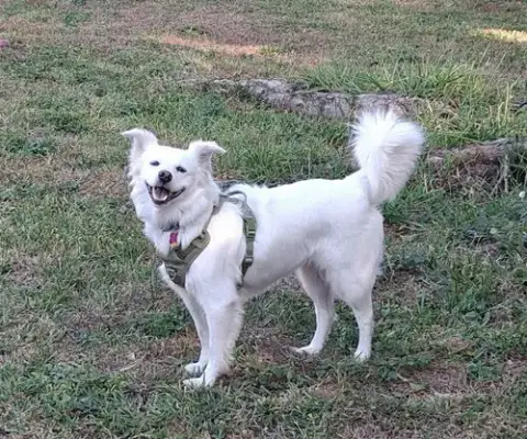 Luna Of Central Fl photo 2