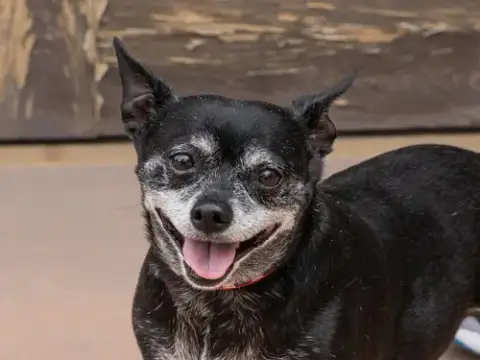 Max