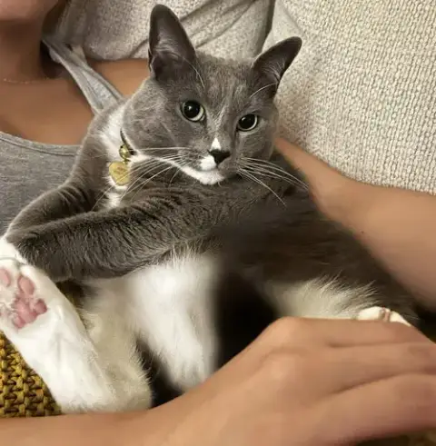 Phoebe photo 4