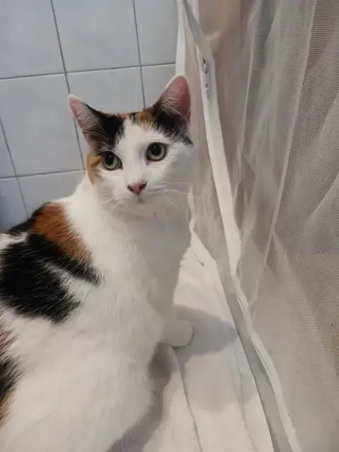 Mimi photo 3