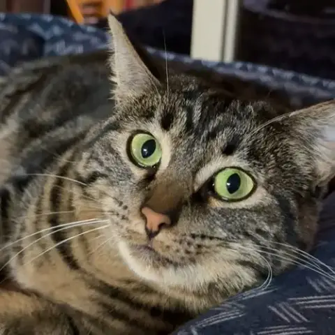 Jem
