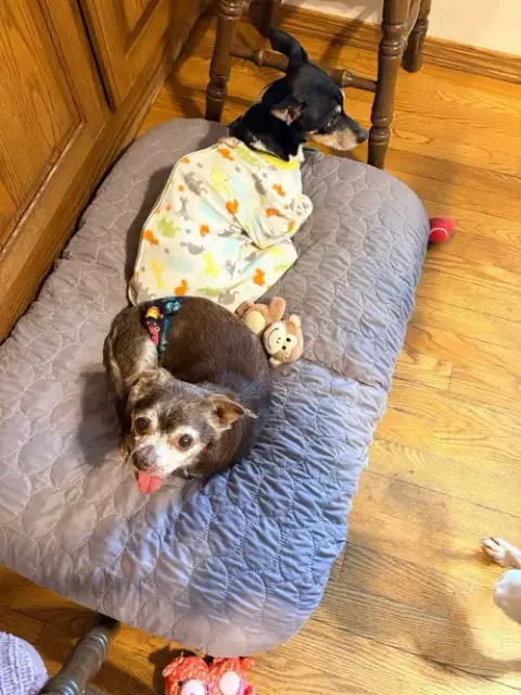 Cassidy photo 3