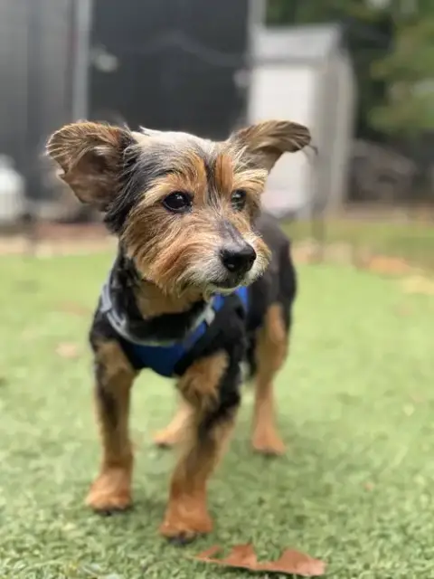 Murphy photo 2