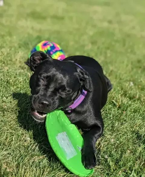 Mazie Fka Ducky photo 3