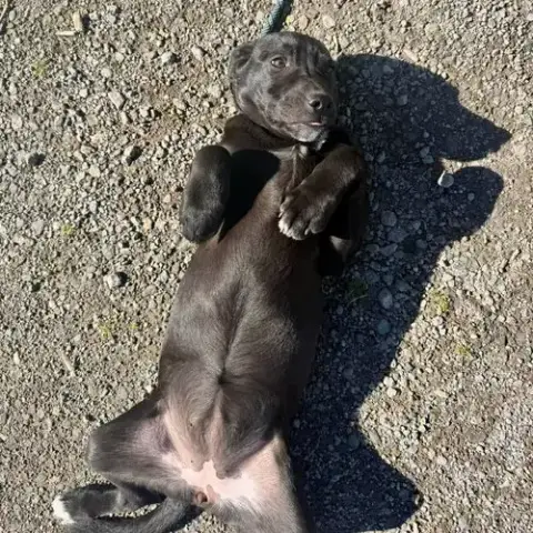 Wally photo 3
