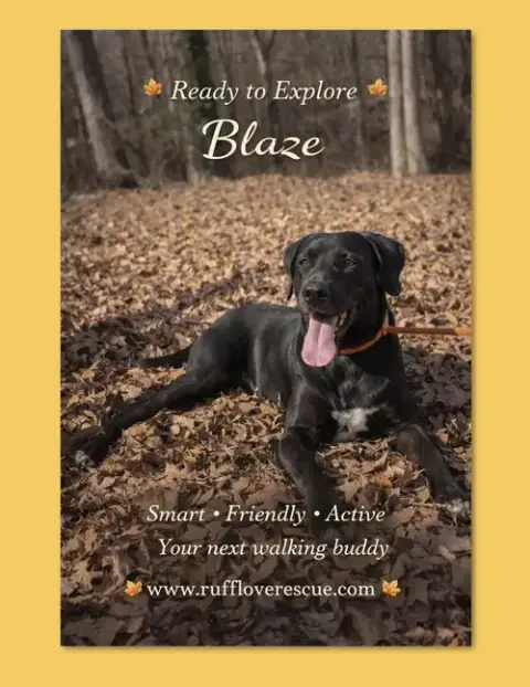 Blaze